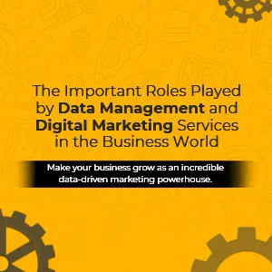 A Holistic Overview of Data Management and Digital Marketing for Business Growth